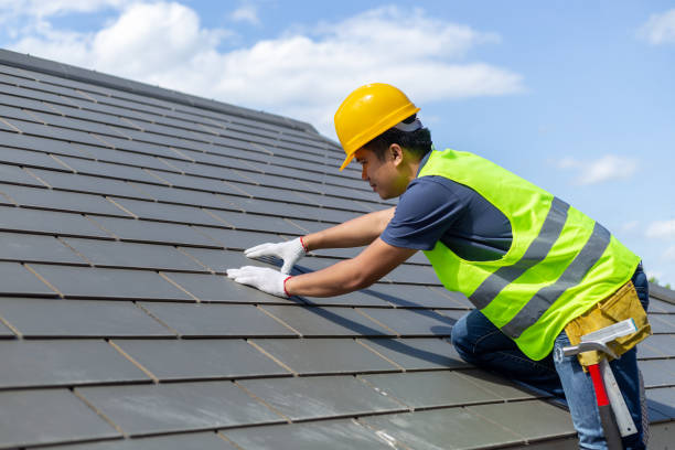 Best Solar Panel Roofing Installation  in West Mayfield, PA